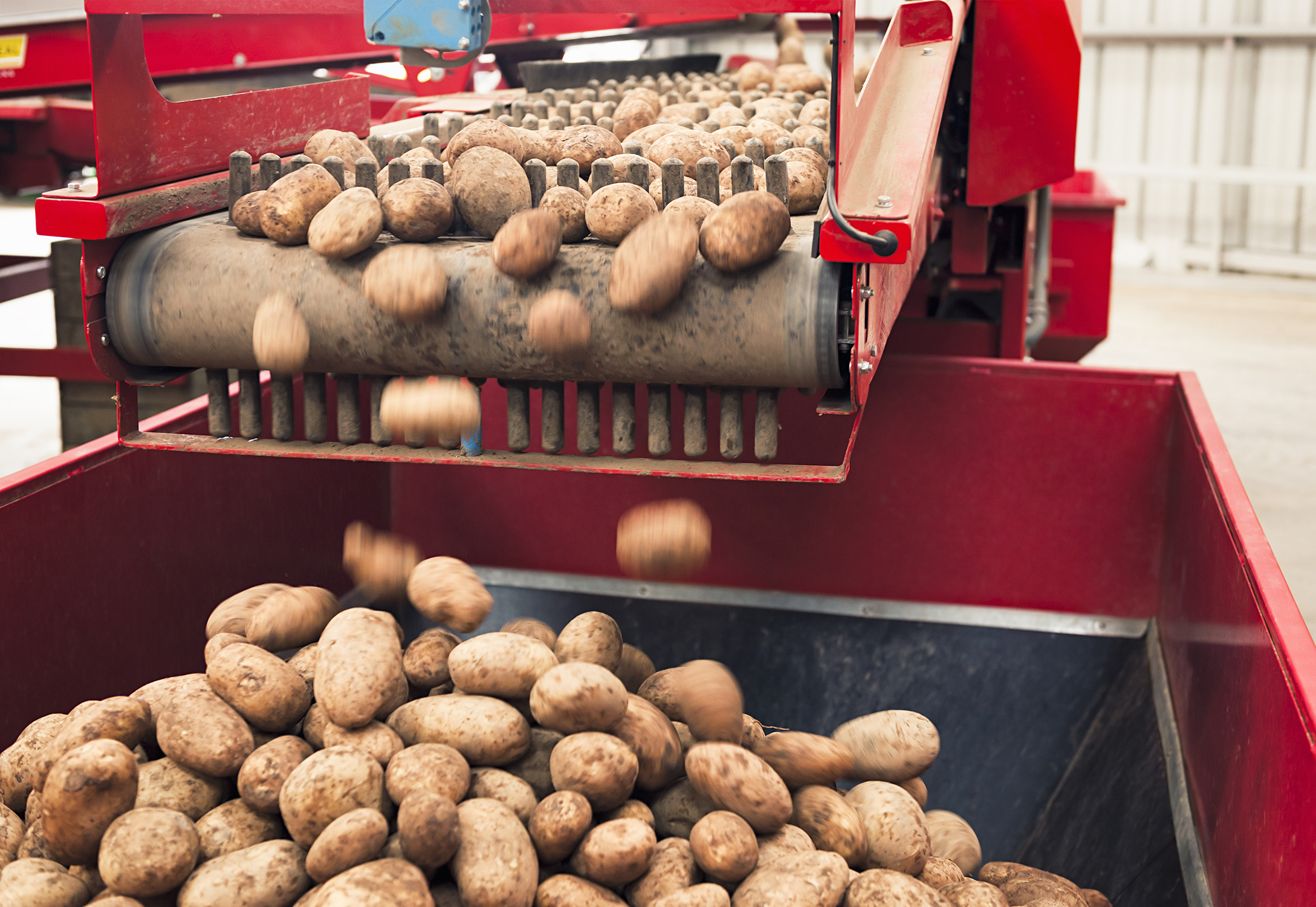 Global demand for potatoes grows with the expanding population, which means potato harvester OEMs need to deliver more reliable and efficient machines to maximise the yield of the potato crop. (Image Source: iStock-155393198)