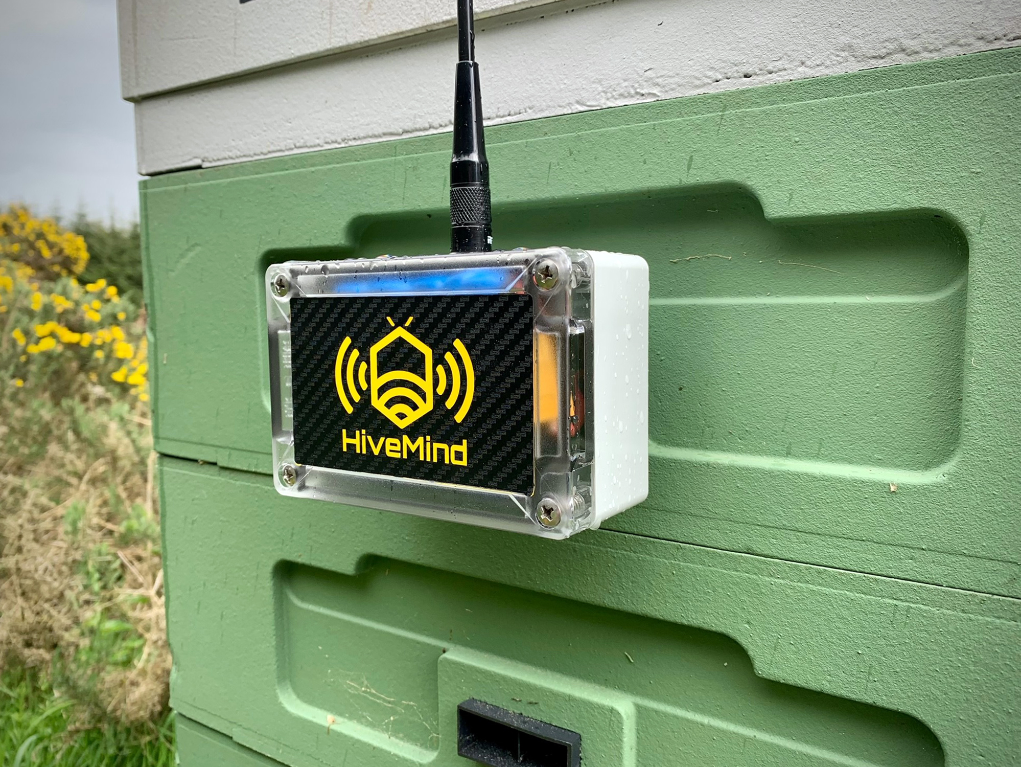 Outdoor enclosures help protect bees with housing for hive monitoring device