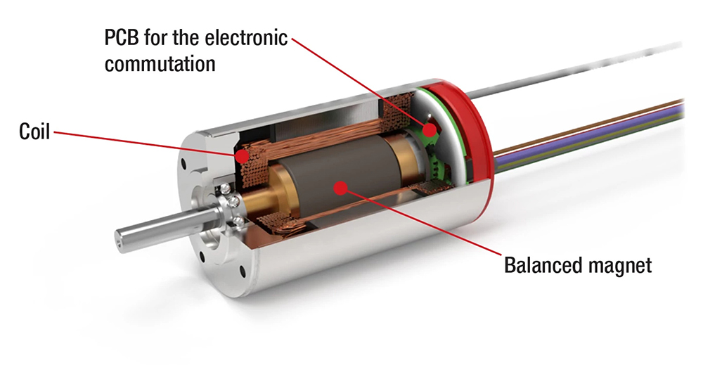 Brushless DC Motor components.